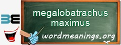 WordMeaning blackboard for megalobatrachus maximus